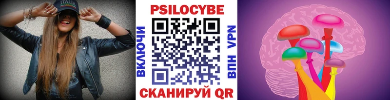 наркошоп  Ирбит  Галлюциногенные грибы Psilocybe 