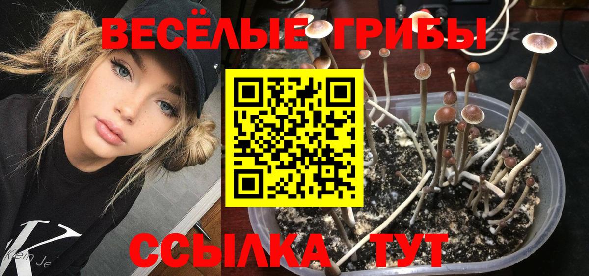 Псилоцибиновые грибы Cubensis  Вход с VPN  что такое наркотик  Ирбит 